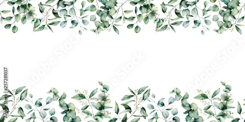 Watercolor eucalyptus seamless border. Hand painted eucalyptus branch and leaves isolated on white background. Floral illustration for design, print, fabric or background. photo