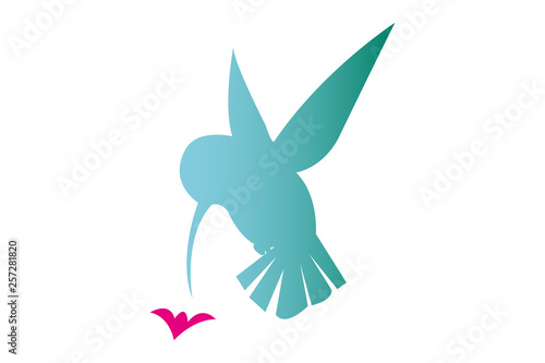 Flying isolated colorful hummingbird silhouette near the pink little flower. Isolated tropical bird for web and print