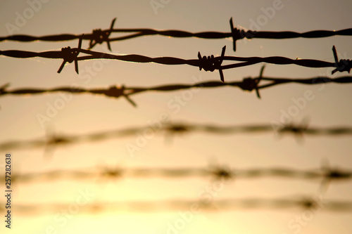 barbed wire © Peter Cripps