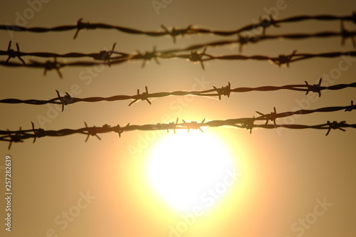 barbed wire photo