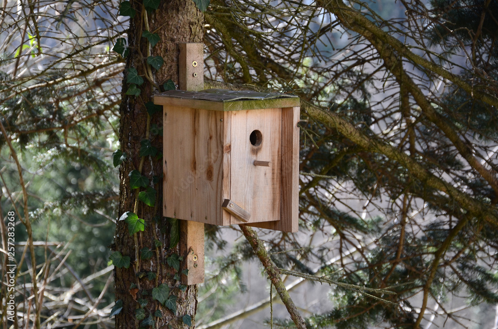 Nistkasten im Wald Nistkasten im Wald
