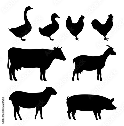 Different farm animals silhouettes set. Vector illustration