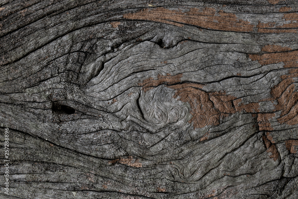 Old wood texture closeup for background. Old wood texture closeup for background.