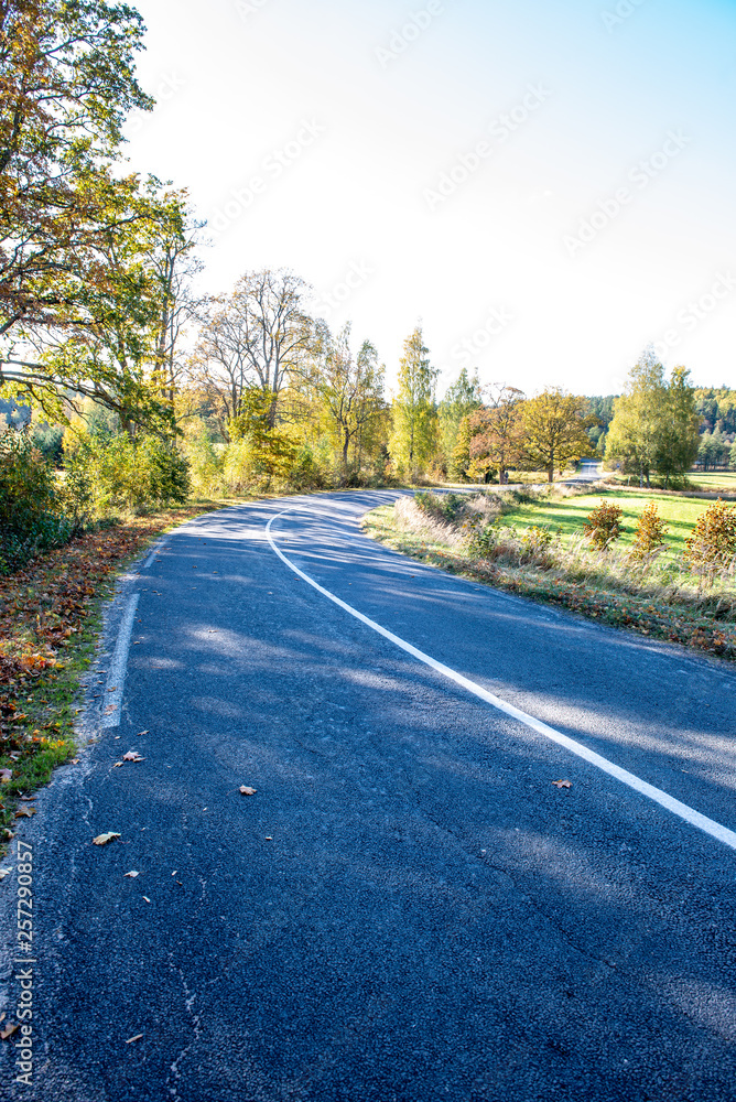 Obraz premium empty gravel road in autumn