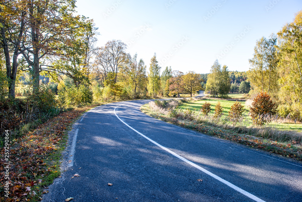 Fototapeta premium empty gravel road in autumn