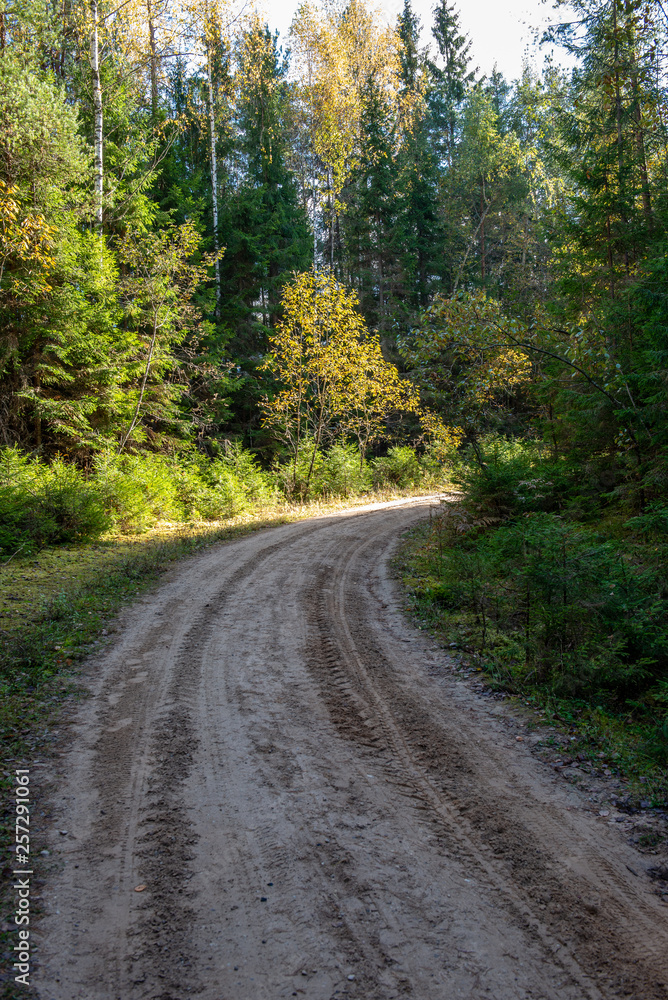 empty gravel road in autumn empty gravel road in autumn