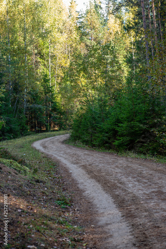 Fototapeta Naklejka Na Ścianę i Meble -  empty gravel road in autumn