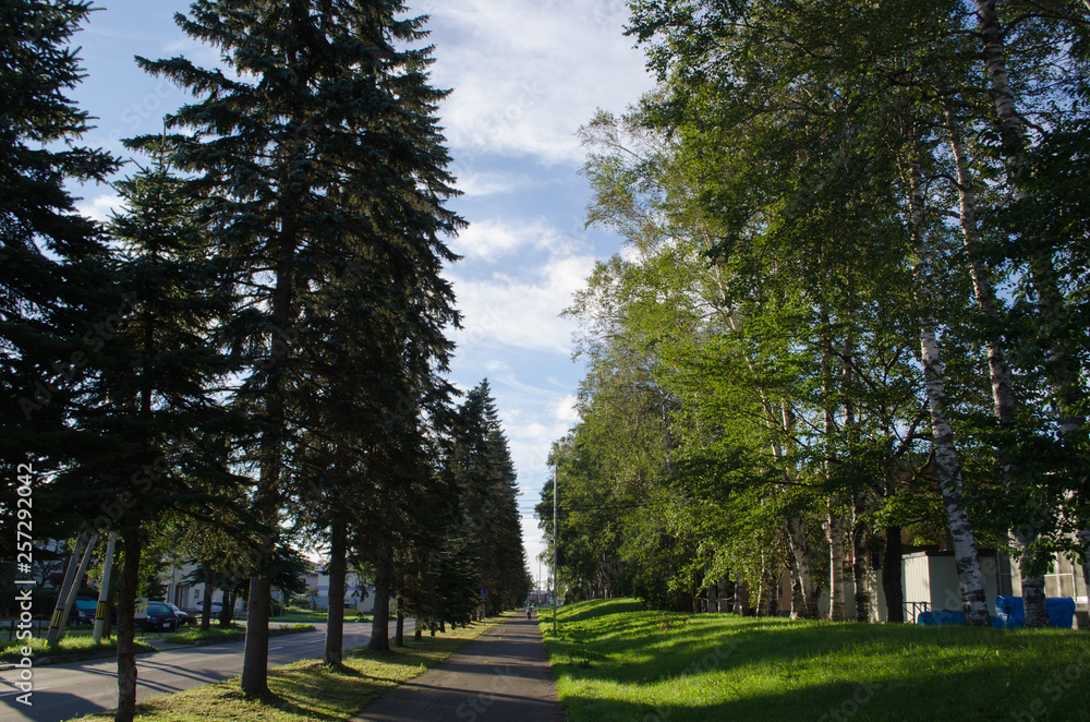 公園と道