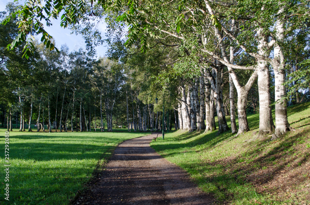 公園と道 公園と道