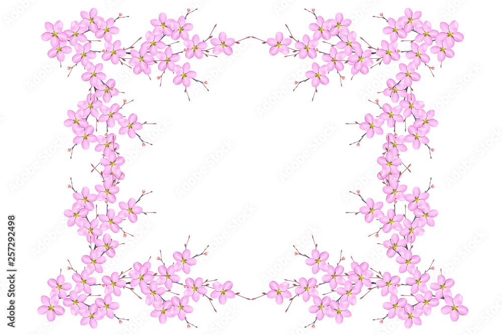Flowering branch of cherry isolated on a white background. Flowering branch of cherry isolated on a white background.