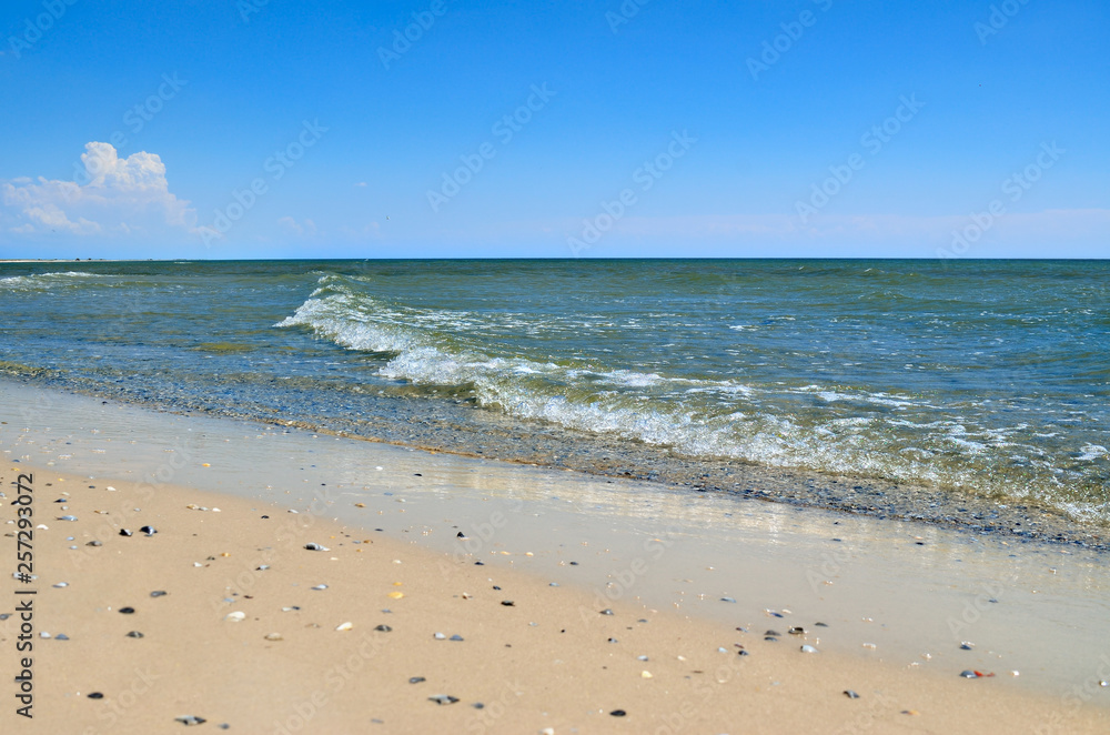 Sea waves wash the beach against a blue sky. Landscape on a wild beach. The sea in the summer. Sea waves wash the beach against a blue sky. Landscape on a wild beach. The sea in the summer.