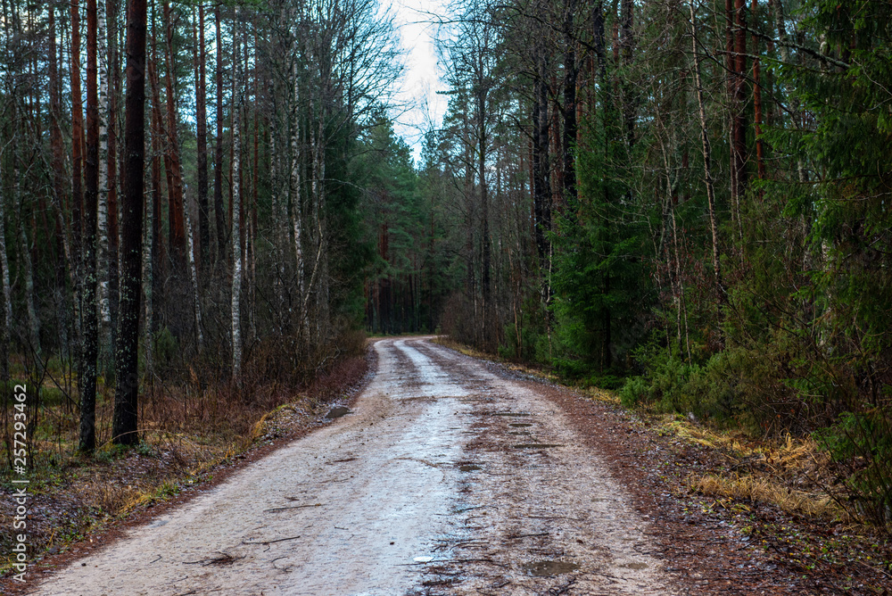 Naklejka premium empty gravel road in autumn