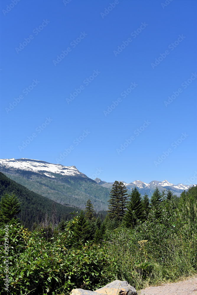 Fototapeta premium Vertical Snow Covered Mountain and Forest Covered Valley in Glacier National Park