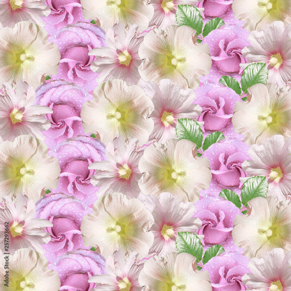 Beautiful floral background of lilac roses and mallow. Isolated