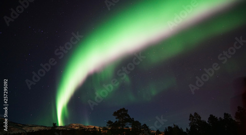 Quadro em tela Nordlicht in Alta, Norwegen