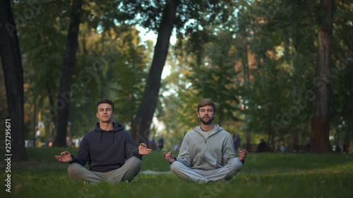 Two friends meditating in central park, lotus pose, yoga asana, harmony search