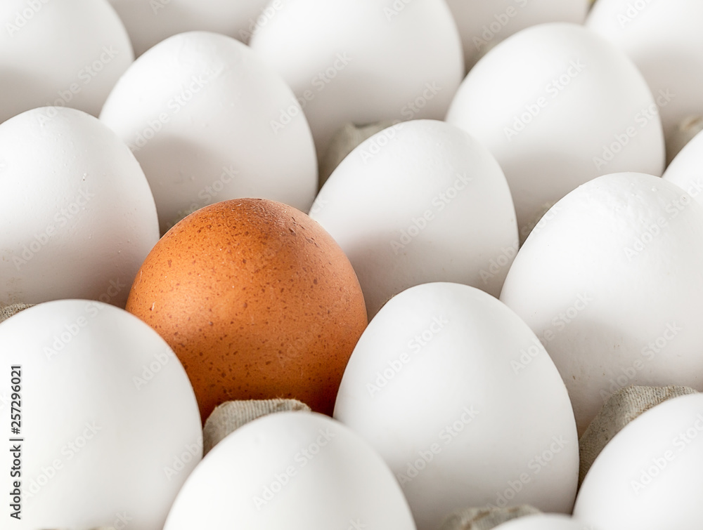 Eggs packed in cardboard or boxes for transporting Eggs packed in cardboard or boxes for transporting