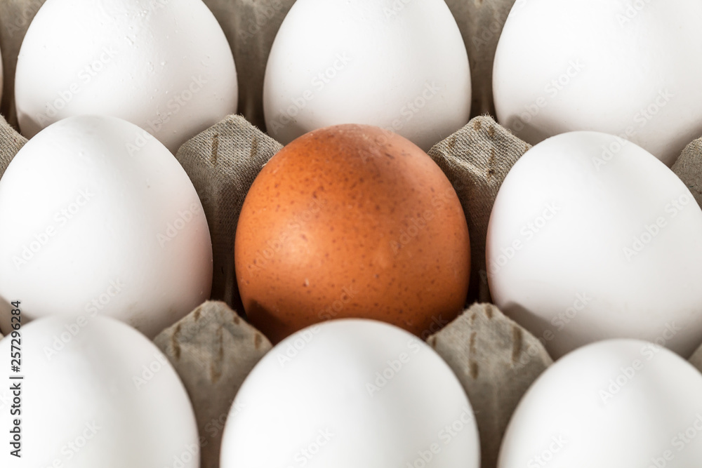 Eggs packed in cardboard or boxes for transporting Eggs packed in cardboard or boxes for transporting