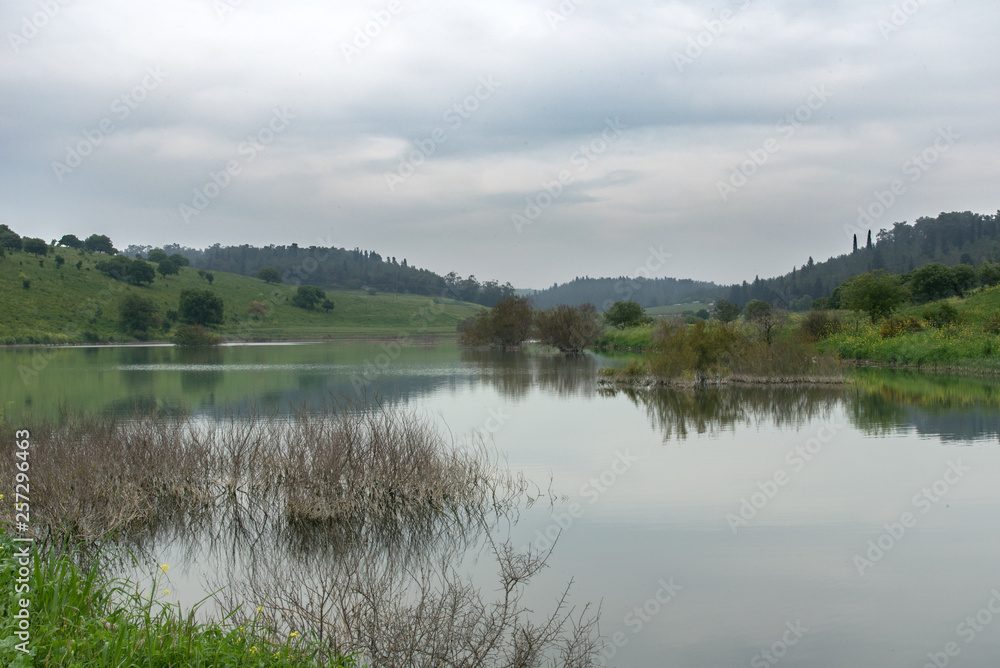 Picture, landscape. Nature, water, sky, clouds, lake, green, trees, shrubs, nature, lake, lake