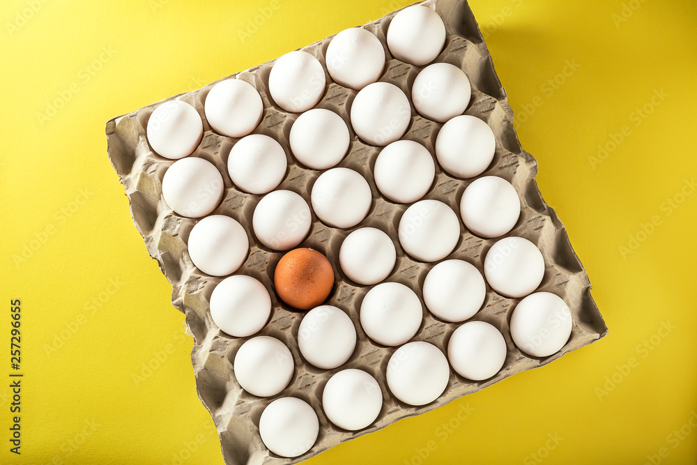 Eggs packed in cardboard or boxes for transporting Eggs packed in cardboard or boxes for transporting