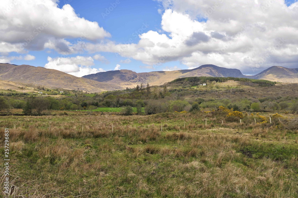 Countryside Landscape in Kerry, Ireland