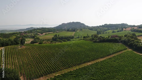 Vigneti in Toscana