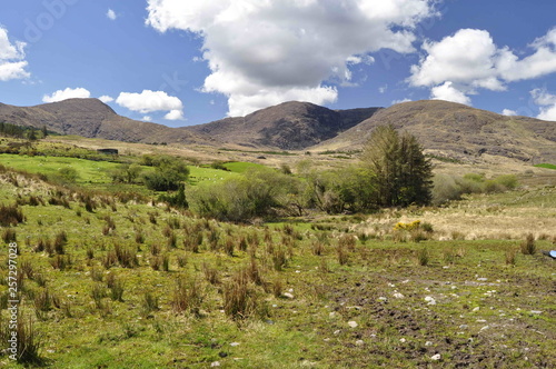 Countryside Landscape in Kerry  Ireland