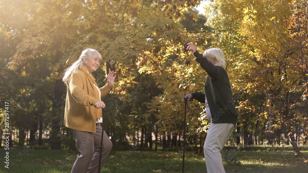 Fototapeta premium Two elder friends dancing and having fun in autumn park, active lifestyle, joy