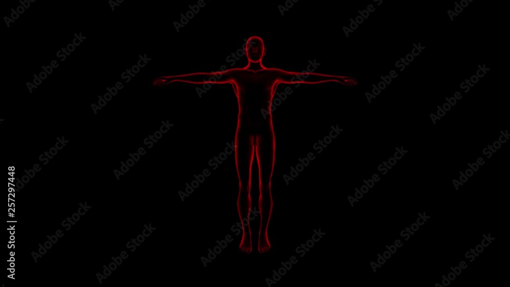 Human Female Body. Rotate Motion. Black Background 4k footage. 3D Rendering. Concept Perfect Body Human Female Body. Rotate Motion. Black Background 4k footage. 3D Rendering. Concept Perfect Body