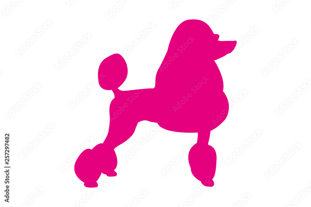Obraz premium Pet silhouette vector logo for web and print. Pink isolated standing poodle dog and looking to the right.