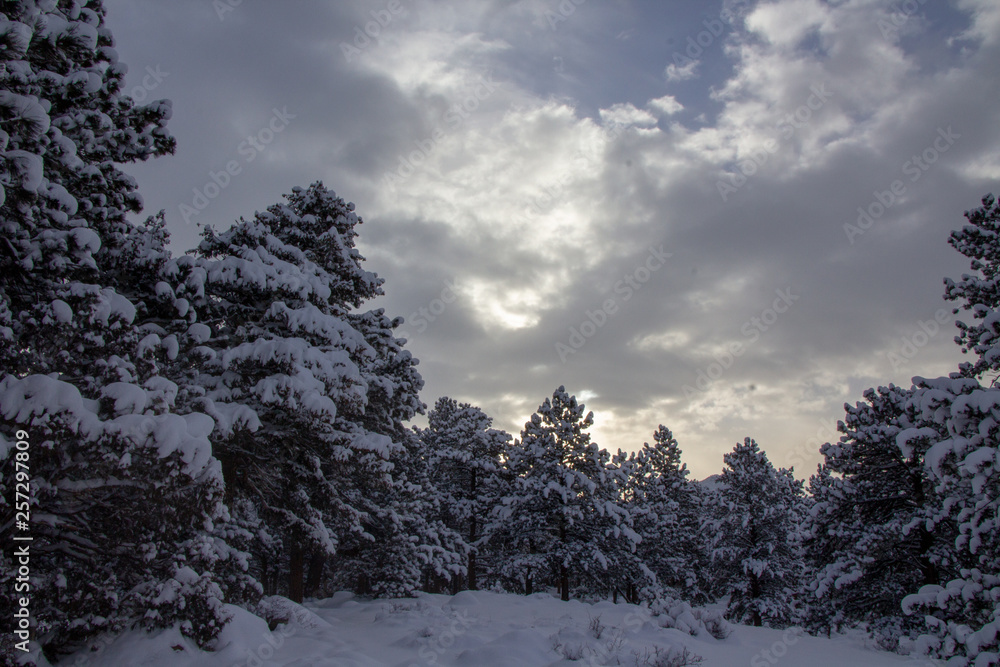 Rocky Mountain National Park 03/2019 Rocky Mountain National Park 03/2019