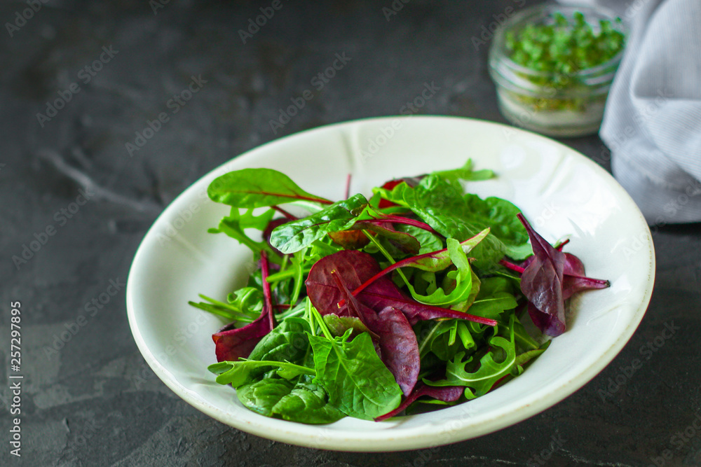Healthy salad, leaves mix salad (mix micro greens, juicy snack). food background - Image Healthy salad, leaves mix salad (mix micro greens, juicy snack). food background - Image