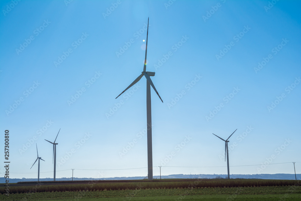 Field with windmills for electric power. Clean energy produced by the wind. Extraction of energy from the air Field with windmills for electric power. Clean energy produced by the wind. Extraction of energy from the air