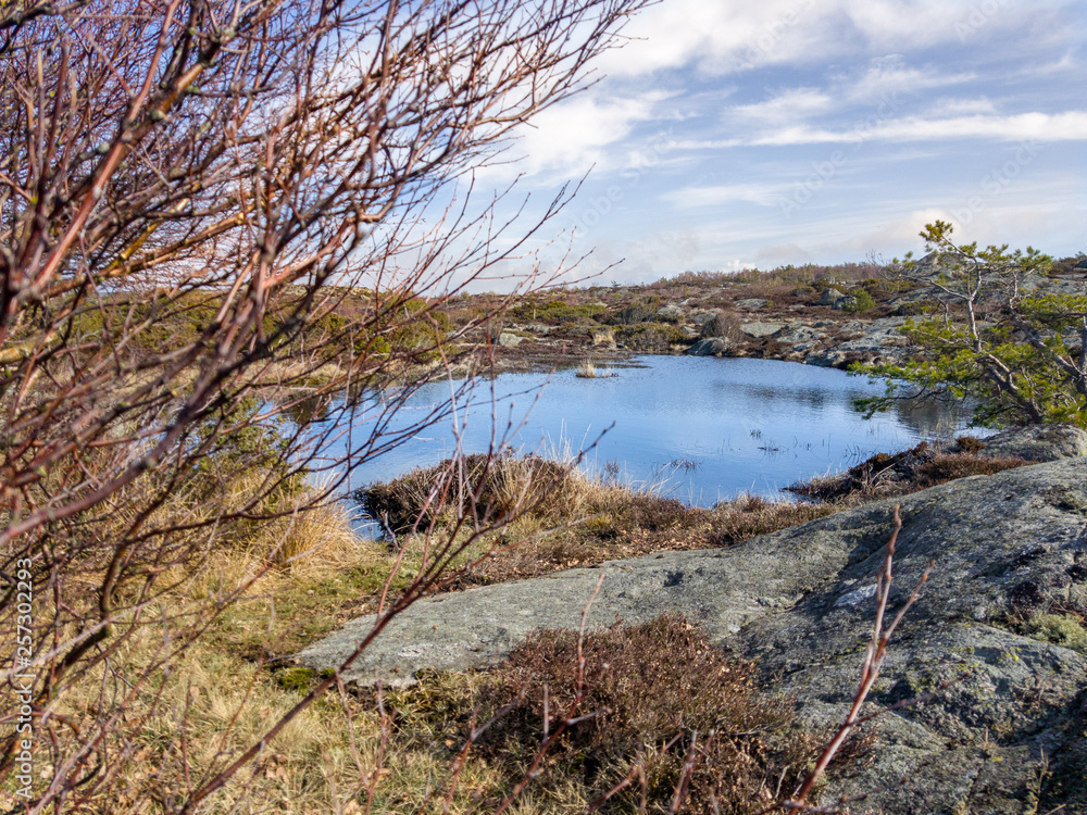 landscape with lake and forest landscape with lake and forest