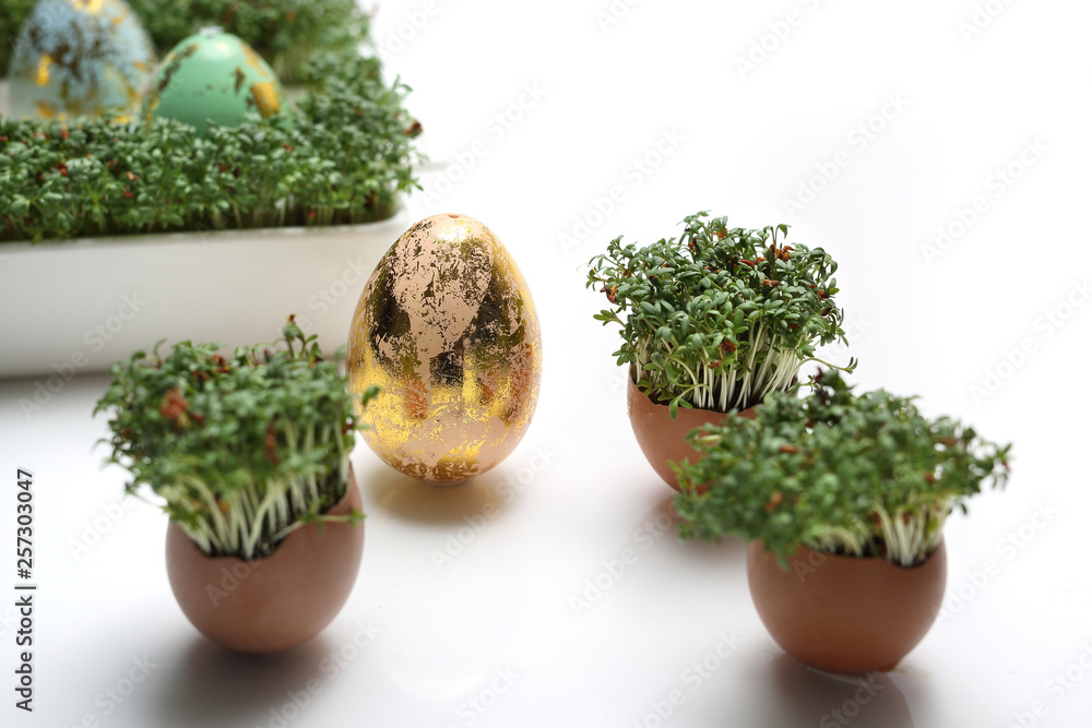 Easter composition with eggs and shells. Ecological style. Easter composition with eggs and shells. Ecological style.