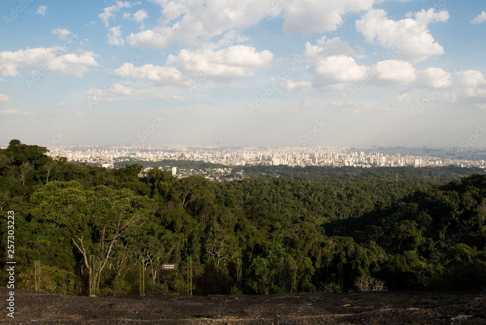 Obraz premium landscape