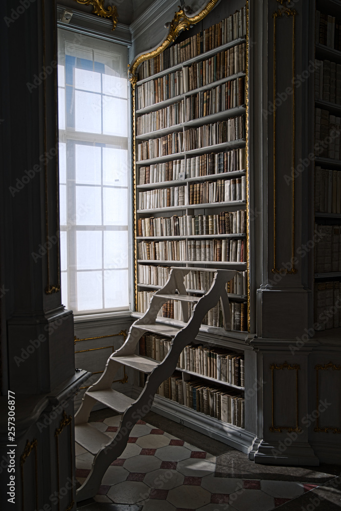 Obraz premium Bücherregal