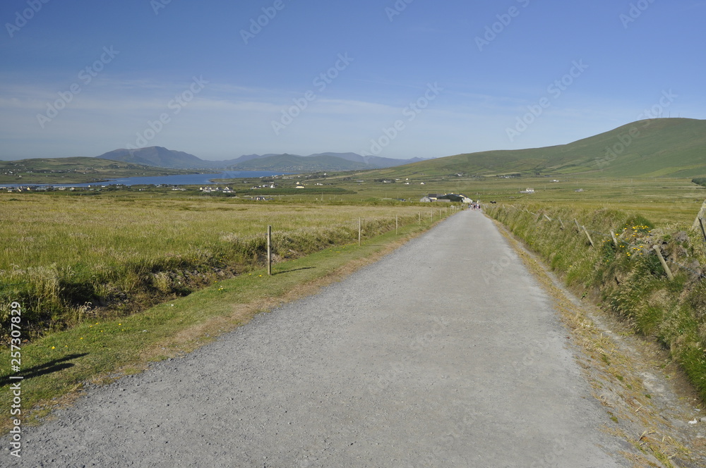 Road in Ring of Kerry, Ireland Road in Ring of Kerry, Ireland