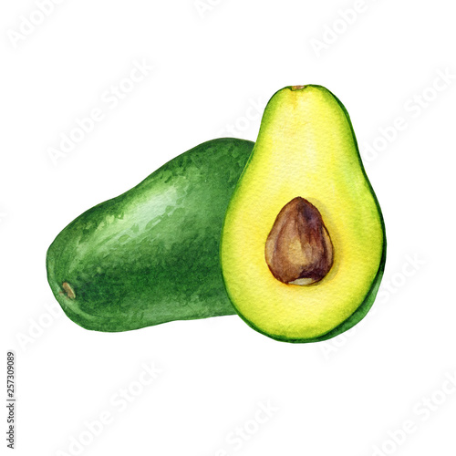 Ripe whole and cut in half of avocado (also called an avocado pear, butter fruit or alligator pear). Hand drawn botanical watercolor painting illustration isolated on white background.