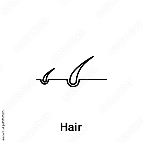 Hair, organ icon. Element of human organ icon. Thin line icon for website design and development, app development. Premium icon
