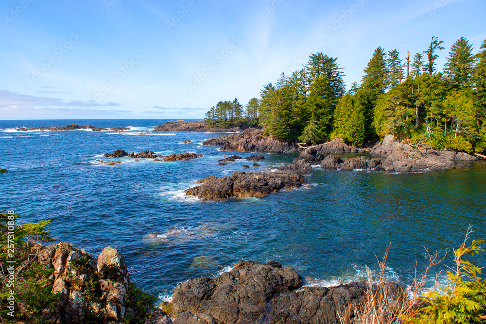 rugged shoreline at wild pacific trail in Ucluelet, Vancouver Island, Canada