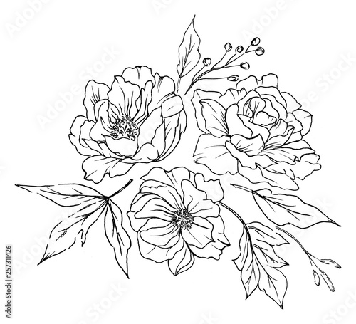Fototapeta Naklejka Na Ścianę i Meble -  Flower black line art. Floral illustration for decoration invitation, greeting card, poster and design other print products. Hand painting. Blossom isolated on white background.