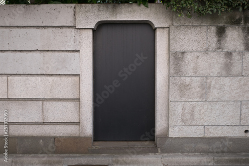 A door on a stone wall