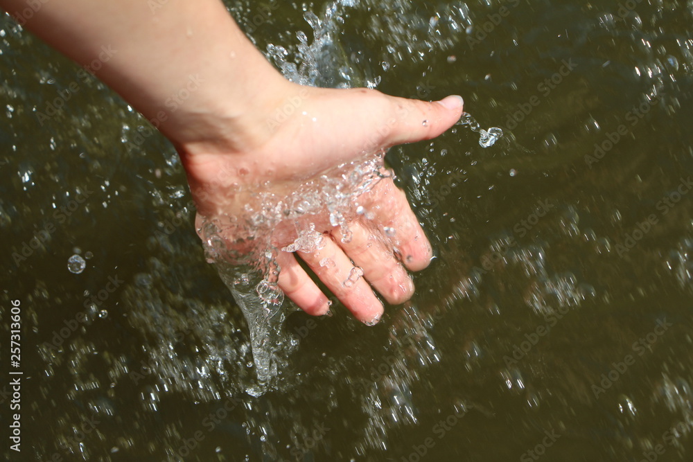 hands in the water hands in the water