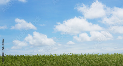 sky green grass field 3d-il...