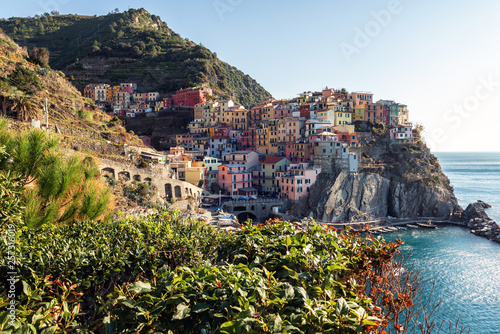 Panoramic view on village of Manarola town, Cinque terre national park, Liguria, Italy