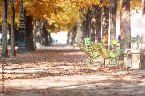 Fototapeta Naklejka Na Ścianę i Meble -  Autumn in Paris. Garden Tuileries.