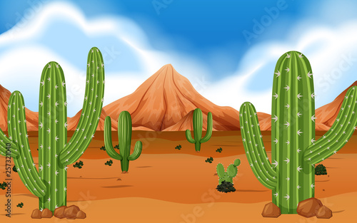 Desert With Mountain and Cacti