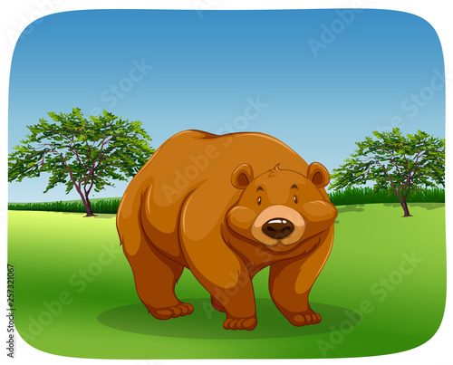 Fototapeta Naklejka Na Ścianę i Meble -  Bear in a field