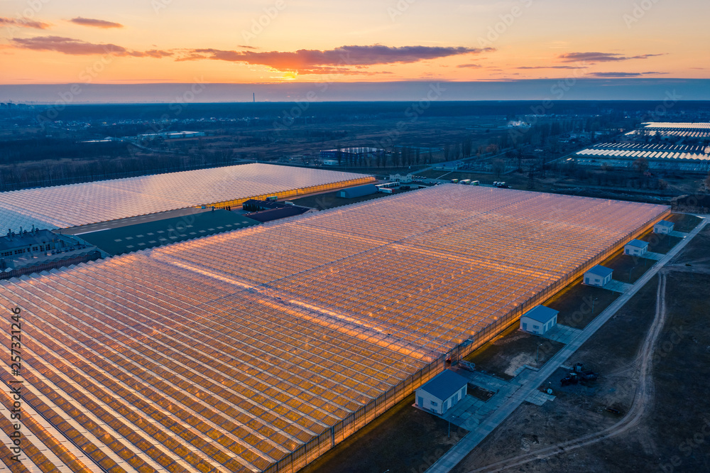 Aerial view of the large modern industrial greenhouse (hothouse) with artificial lighting